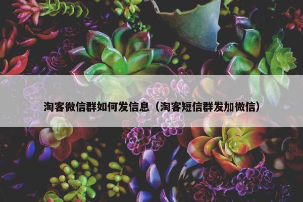 淘客微信群如何发信息（淘客短信群发加微信）