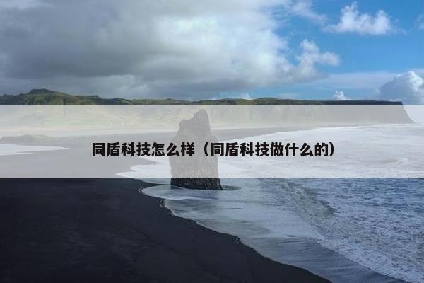 同盾科技怎么样（同盾科技做什么的）