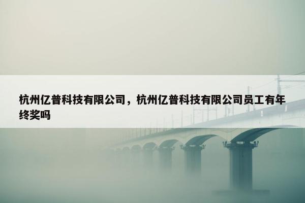 杭州亿普科技有限公司，杭州亿普科技有限公司员工有年终奖吗