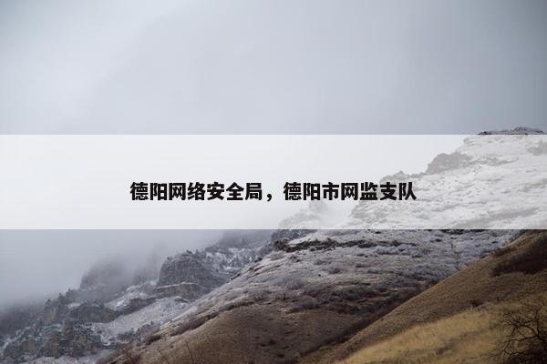 德阳网络安全局，德阳市网监支队