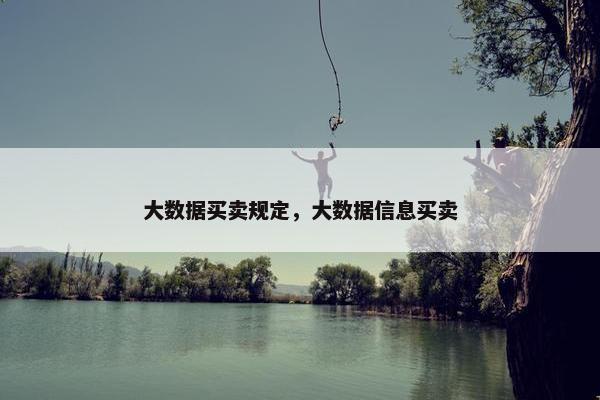 大数据买卖规定，大数据信息买卖