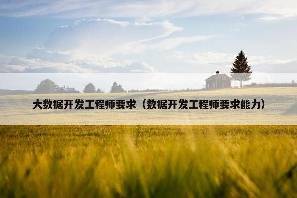 大数据开发工程师要求（数据开发工程师要求能力）