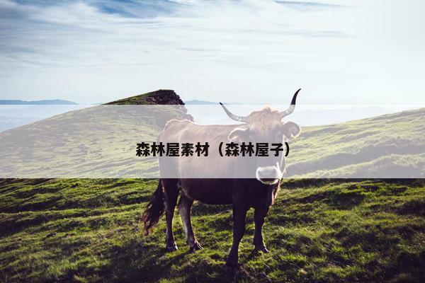 森林屋素材（森林屋子）