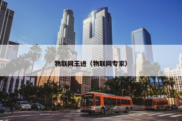 物联网王进（物联网专家）