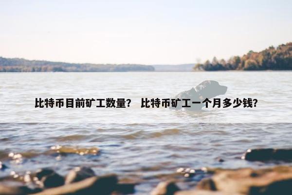 比特币目前矿工数量？ 比特币矿工一个月多少钱？