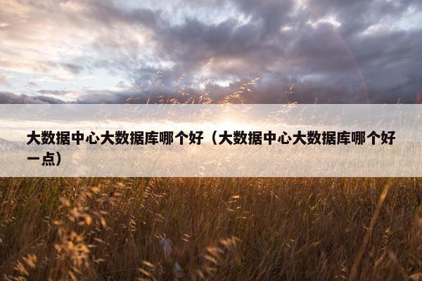 大数据中心大数据库哪个好（大数据中心大数据库哪个好一点）
