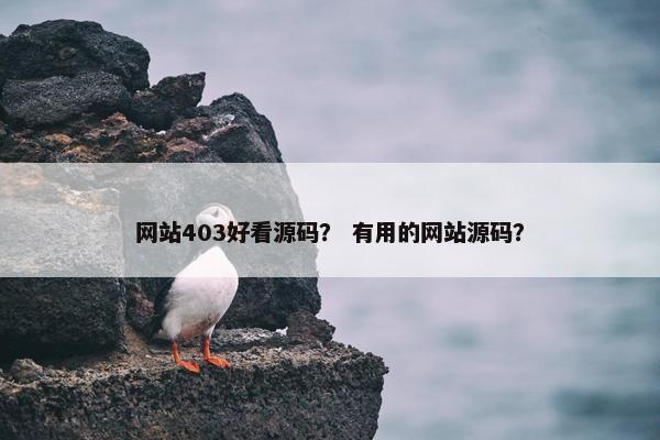 网站403好看源码？ 有用的网站源码？