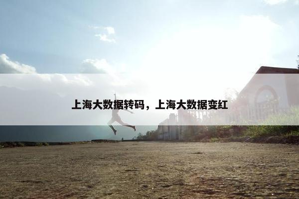 上海大数据转码，上海大数据变红