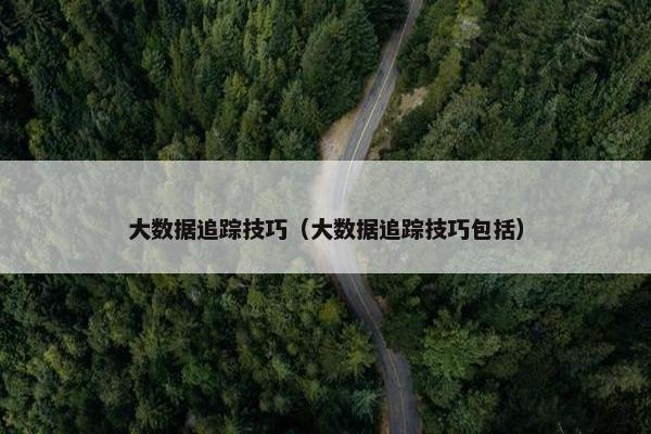 大数据追踪技巧（大数据追踪技巧包括）