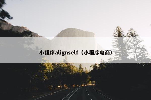 小程序alignself（小程序电商）