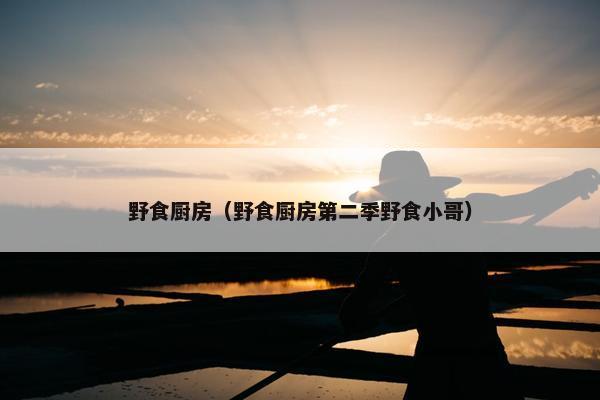 野食厨房（野食厨房第二季野食小哥）