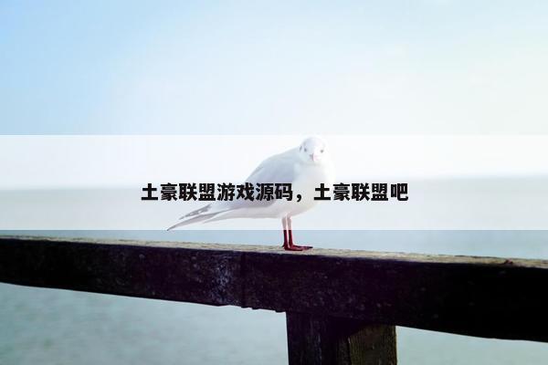 土豪联盟游戏源码，土豪联盟吧