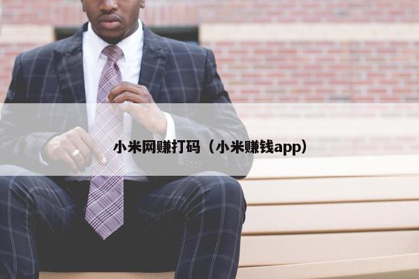 小米网赚打码（小米赚钱app）