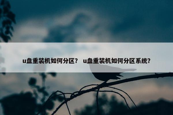u盘重装机如何分区？ u盘重装机如何分区系统？