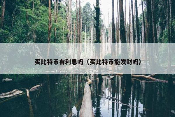 买比特币有利息吗（买比特币能发财吗）
