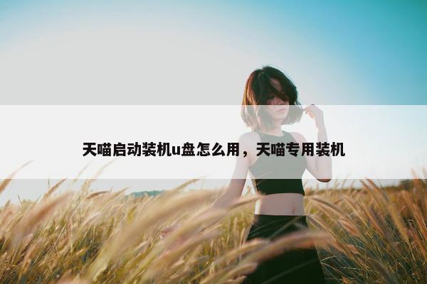 天喵启动装机u盘怎么用，天喵专用装机
