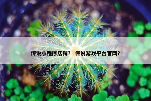 传说小程序店铺？ 传说游戏平台官网？