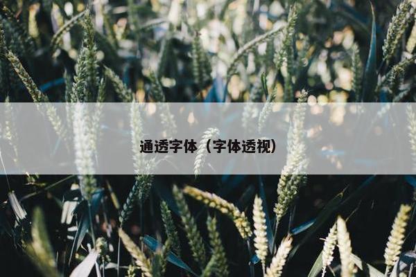 通透字体（字体透视）