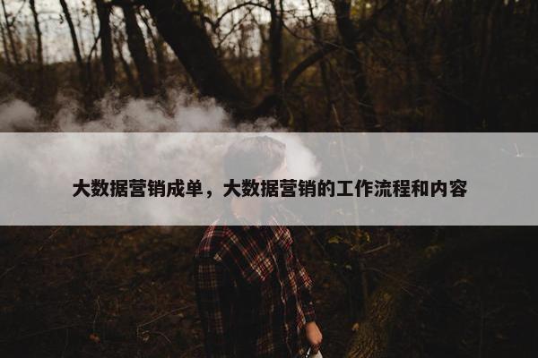 大数据营销成单，大数据营销的工作流程和内容