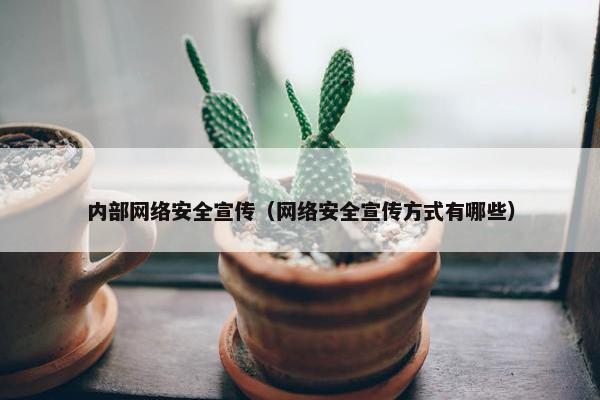 内部网络安全宣传（网络安全宣传方式有哪些）
