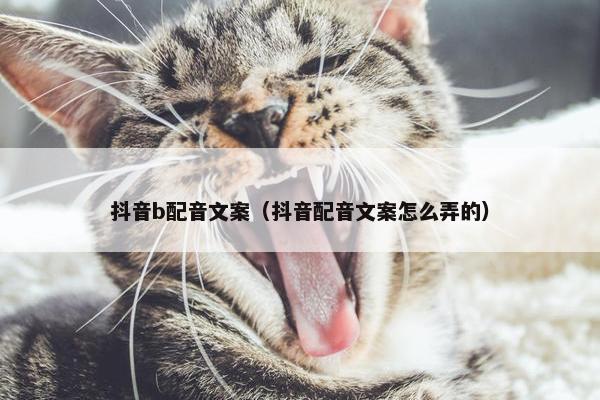 抖音b配音文案（抖音配音文案怎么弄的）
