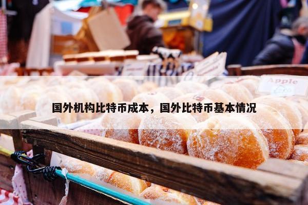 国外机构比特币成本，国外比特币基本情况