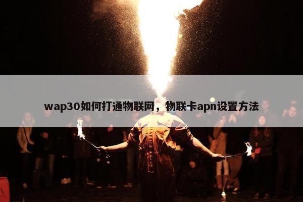 wap30如何打通物联网，物联卡apn设置方法
