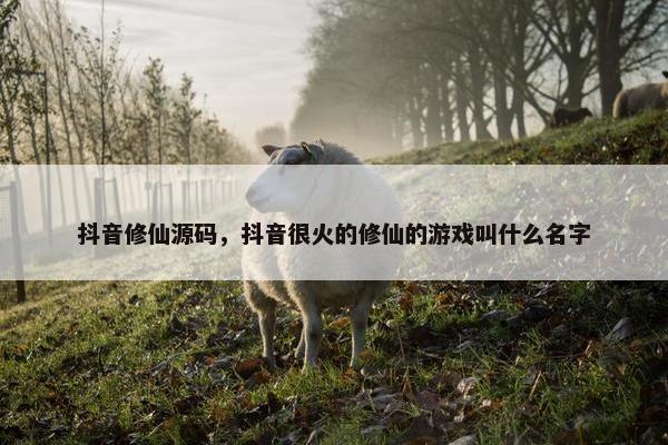 抖音修仙源码，抖音很火的修仙的游戏叫什么名字