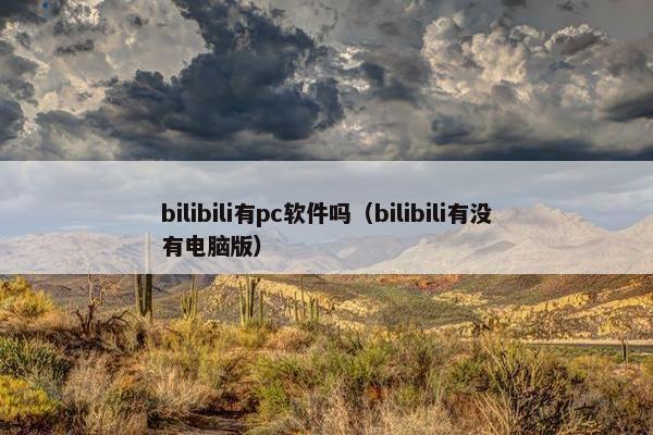 bilibili有pc软件吗（bilibili有没有电脑版）