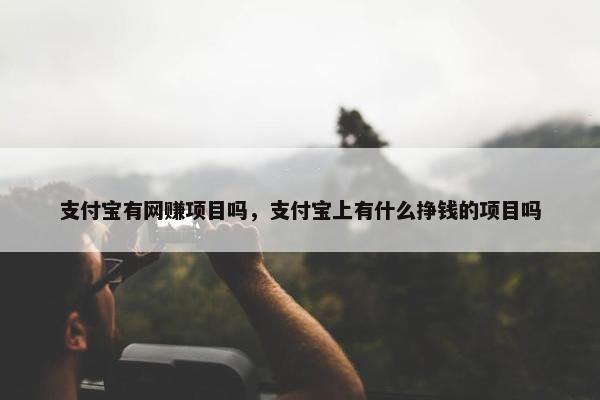 支付宝有网赚项目吗，支付宝上有什么挣钱的项目吗