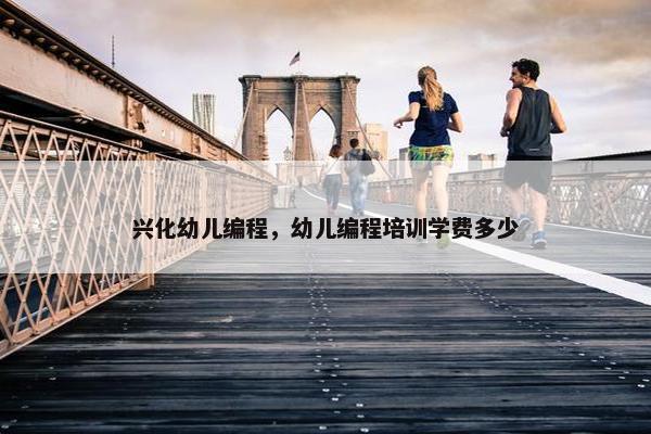 兴化幼儿编程，幼儿编程培训学费多少