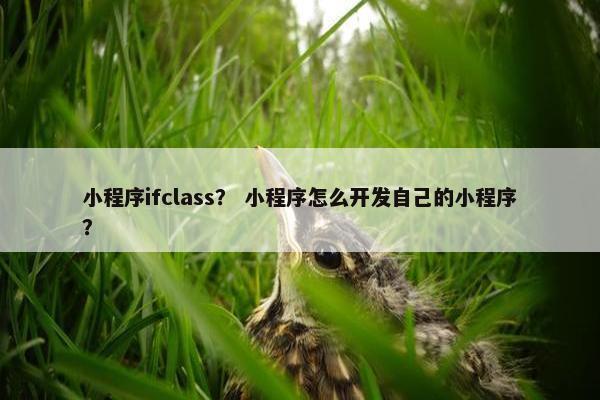 小程序ifclass？ 小程序怎么开发自己的小程序？