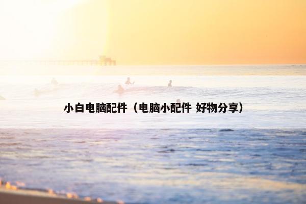 小白电脑配件（电脑小配件 好物分享）