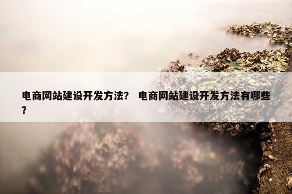 电商网站建设开发方法？ 电商网站建设开发方法有哪些？