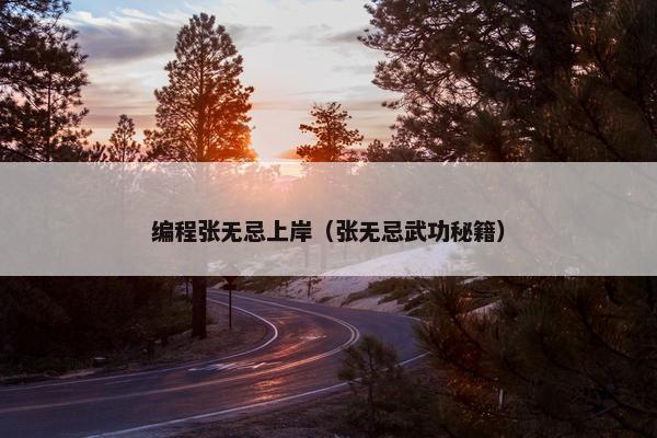 编程张无忌上岸（张无忌武功秘籍）