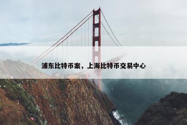 浦东比特币案，上海比特币交易中心
