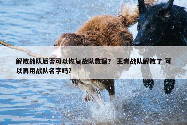 解散战队后否可以恢复战队数据？ 王者战队解散了 可以再用战队名字吗？