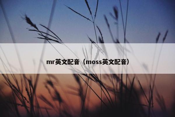 mr英文配音（moss英文配音）