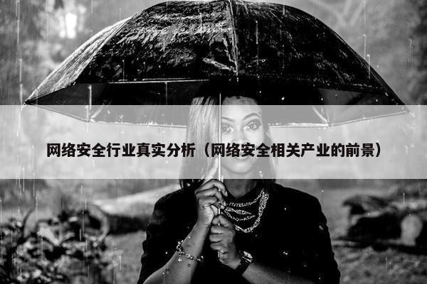 网络安全行业真实分析（网络安全相关产业的前景）