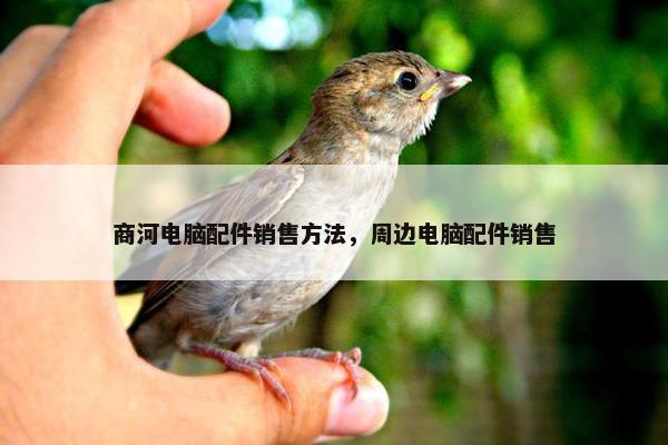 商河电脑配件销售方法，周边电脑配件销售
