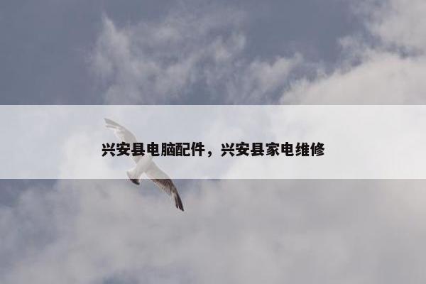 兴安县电脑配件，兴安县家电维修