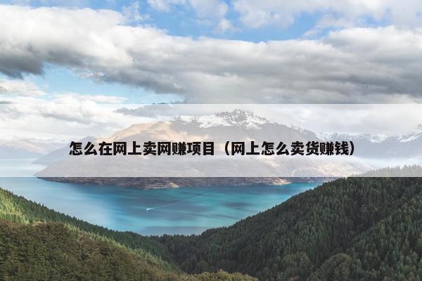 怎么在网上卖网赚项目（网上怎么卖货赚钱）
