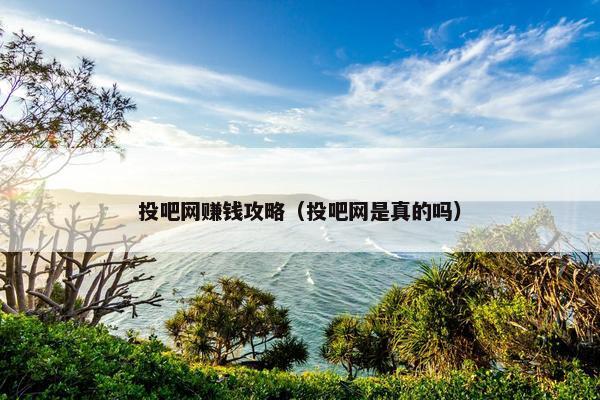 投吧网赚钱攻略（投吧网是真的吗）