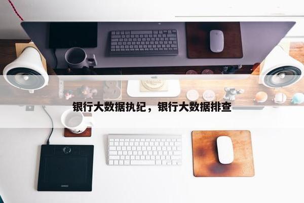 银行大数据执纪，银行大数据排查