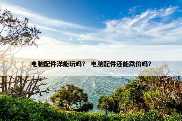 电脑配件洋能玩吗？ 电脑配件还能跌价吗？