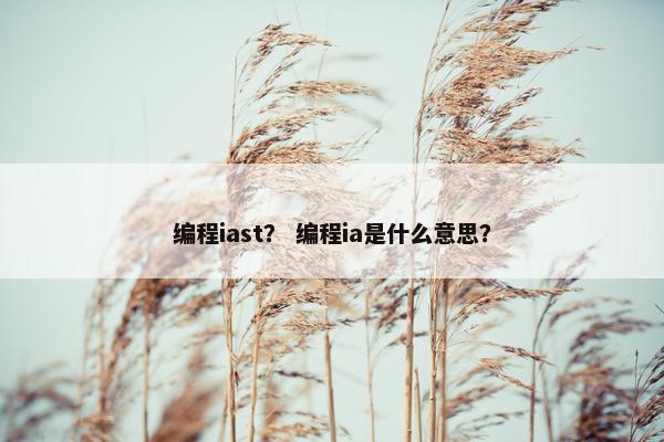 编程iast？ 编程ia是什么意思？