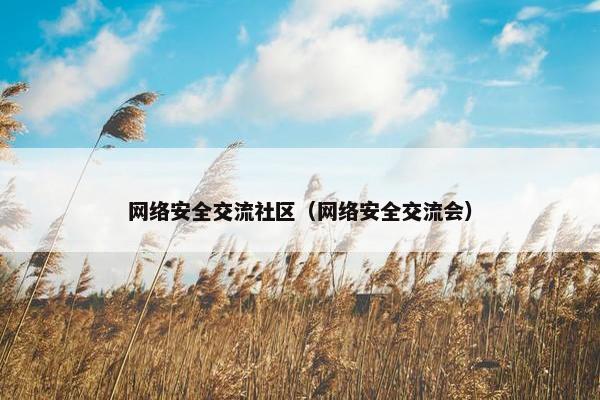 网络安全交流社区（网络安全交流会）