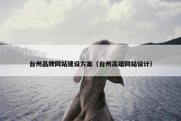 台州品牌网站建设方案（台州高端网站设计）