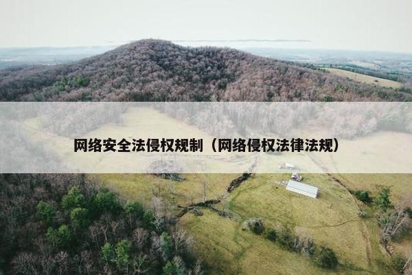 网络安全法侵权规制（网络侵权法律法规）