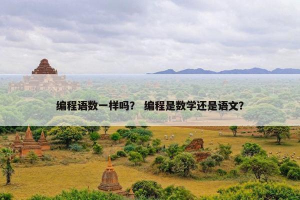 编程语数一样吗？ 编程是数学还是语文？